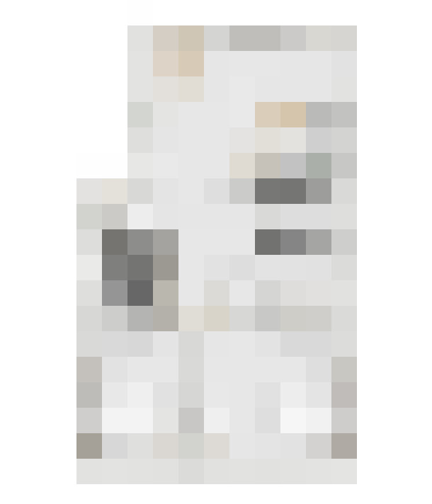 Image 16