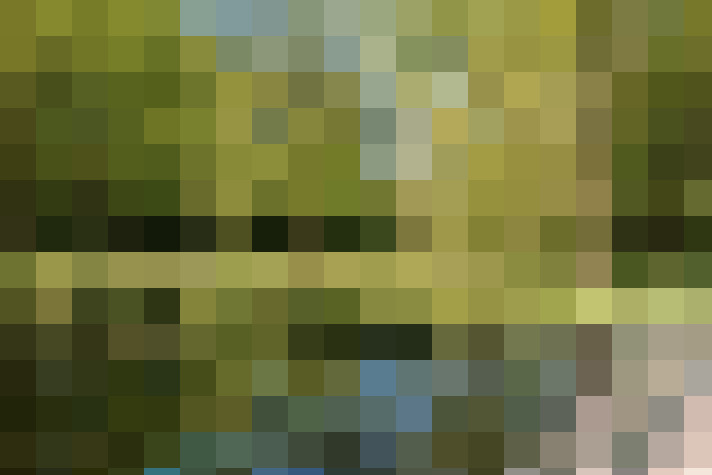 Image 17