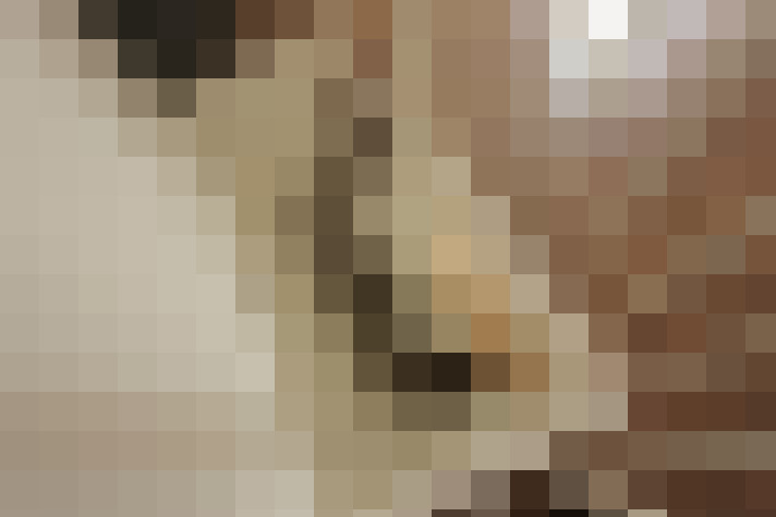  / #17
