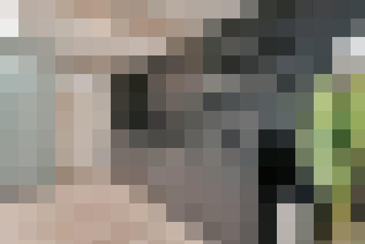 Image 29