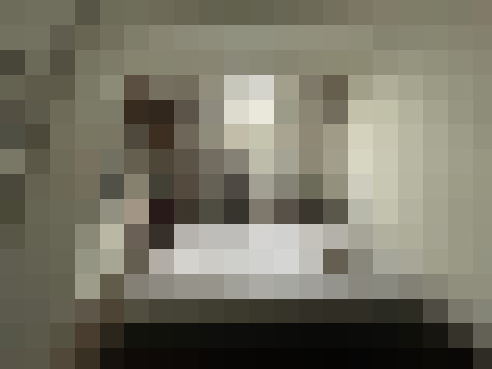  / #15