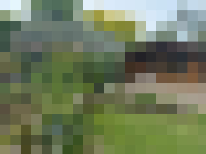 Image 56