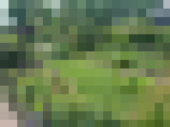 Image 55