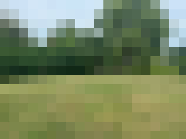 Image 53