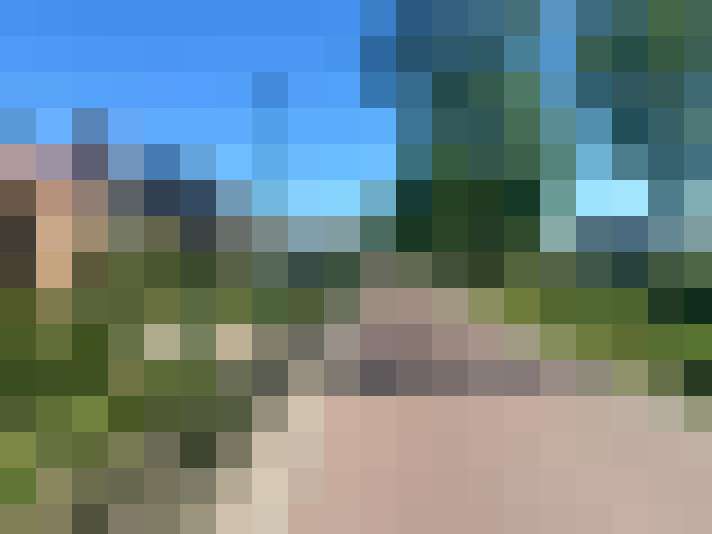 Image 49