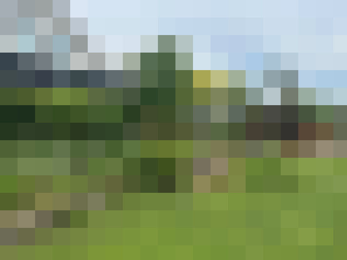 Image 48