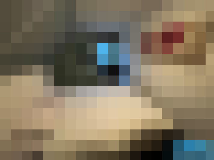  / #14