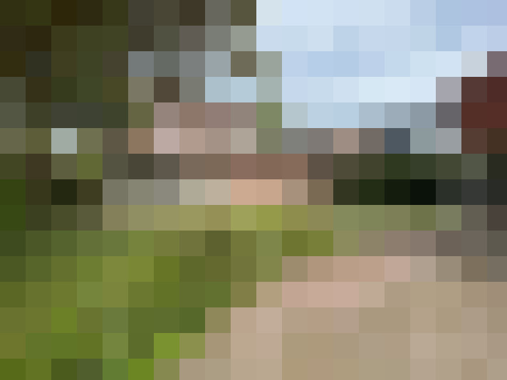 Image 25