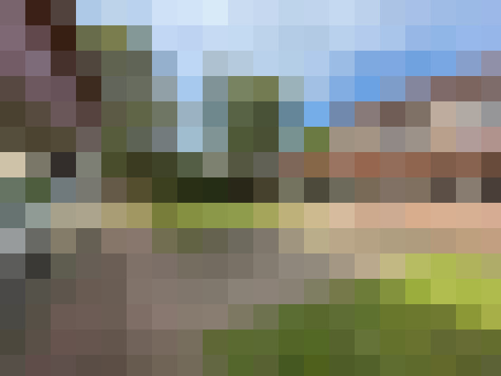 Image 22