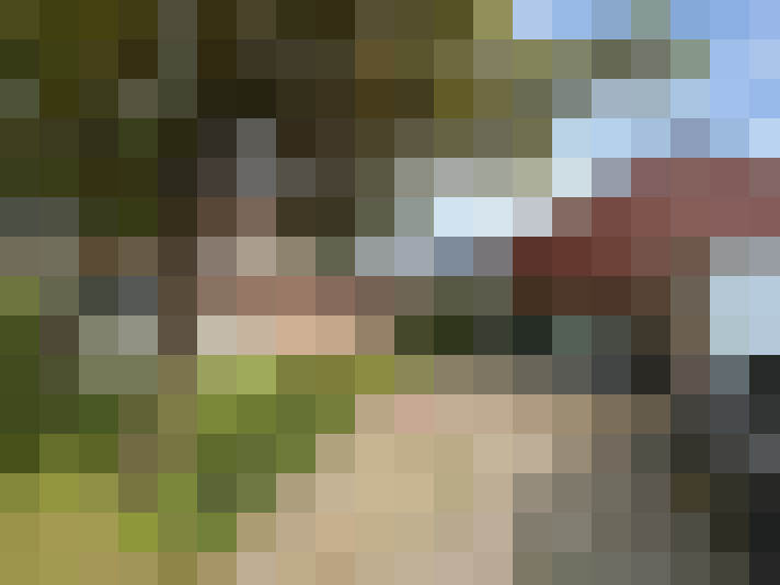 Image 24