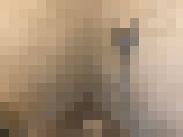  / #14