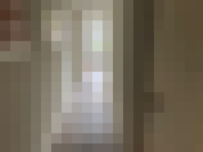  / #11
