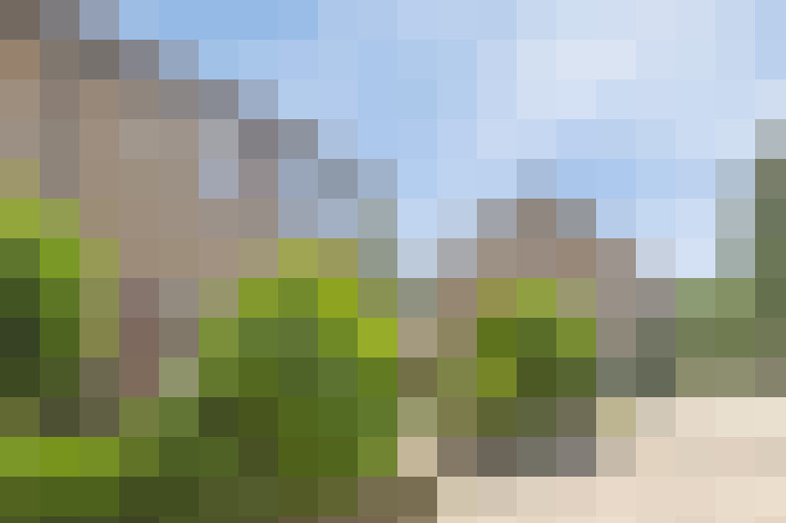 Image 37