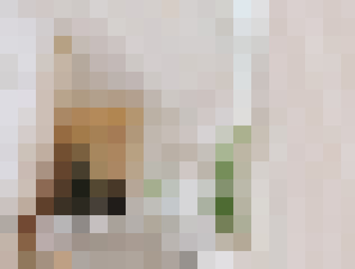  / #20