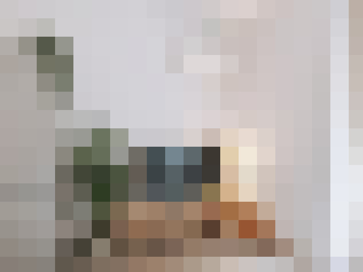  / #19