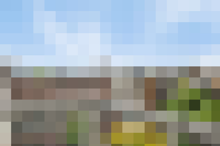 Image 13
