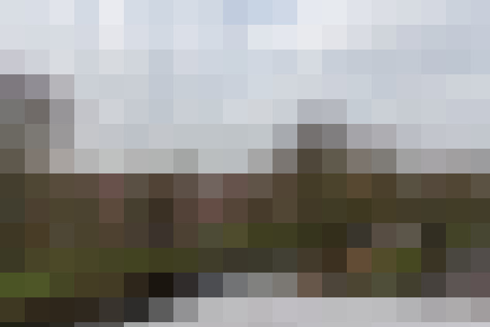 Image 38