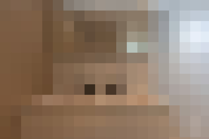 Image 29