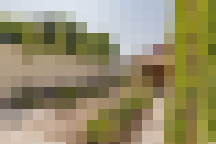 Image 40
