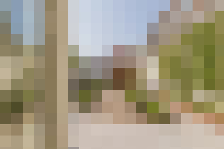 Image 38