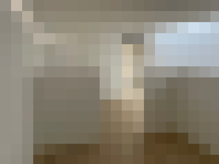  / #17