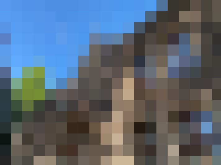 Image 20