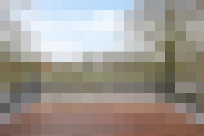  / #64