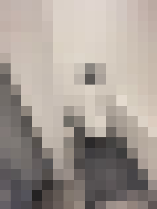 Image 17