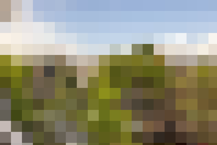 Image 18
