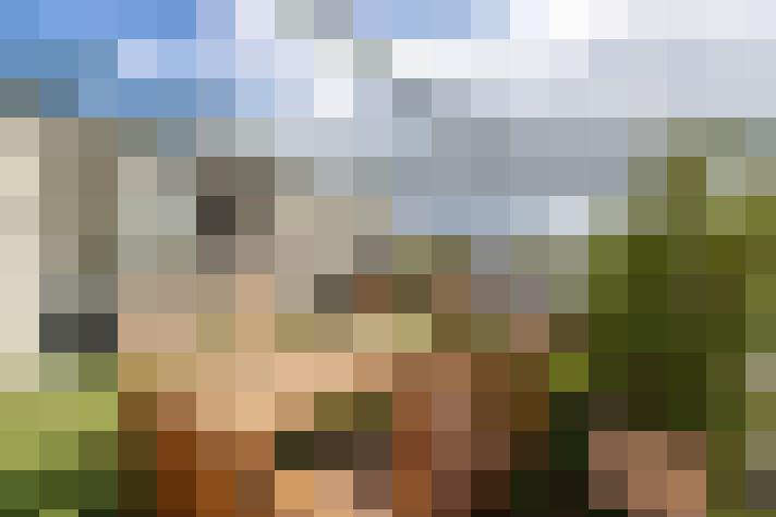 Image 39