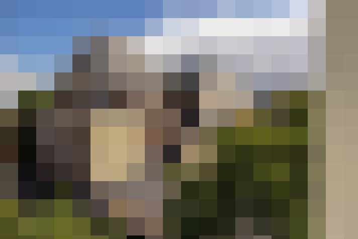 Image 40
