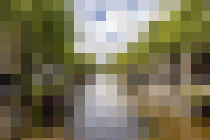 Image 43