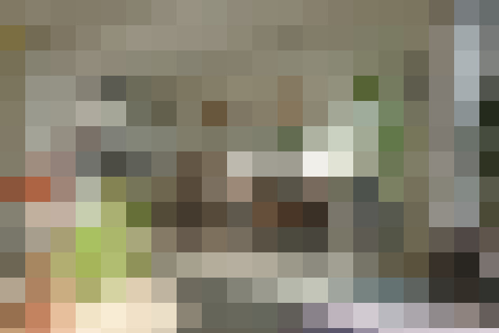 Image 15