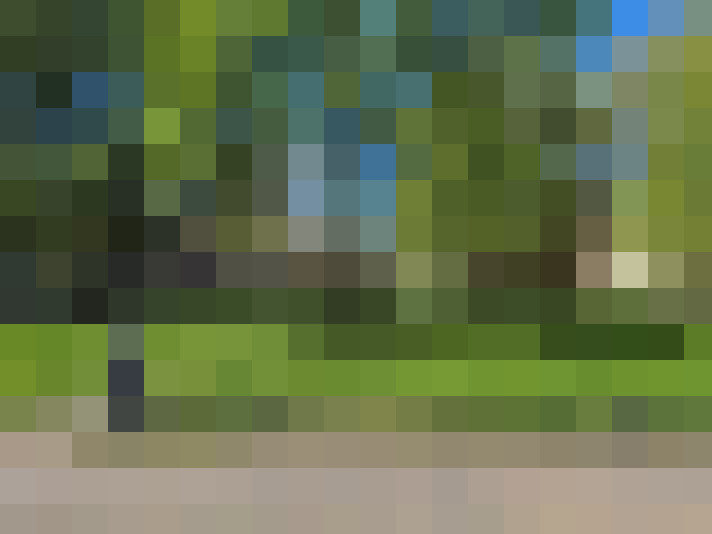  / #58