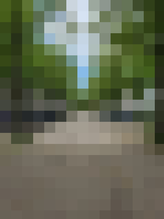  / #63