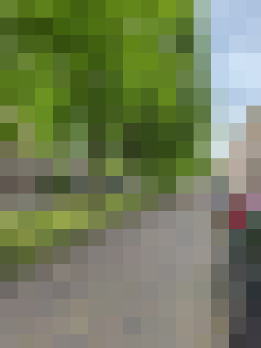  / #61