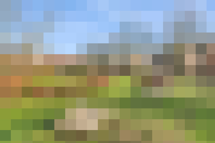 Image 74