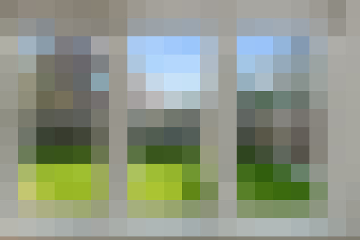 Image 24
