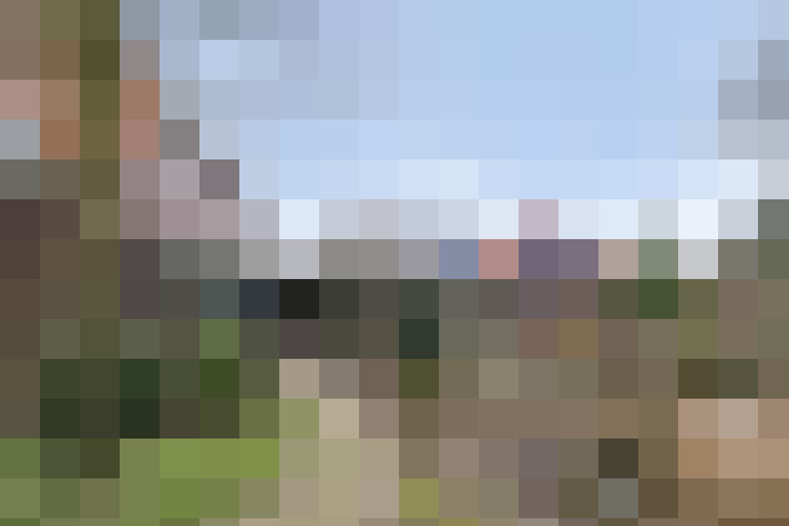 Image 31