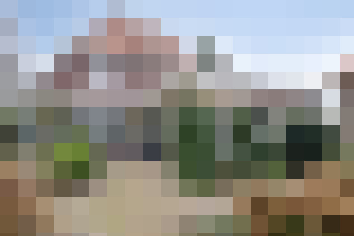 Image 29