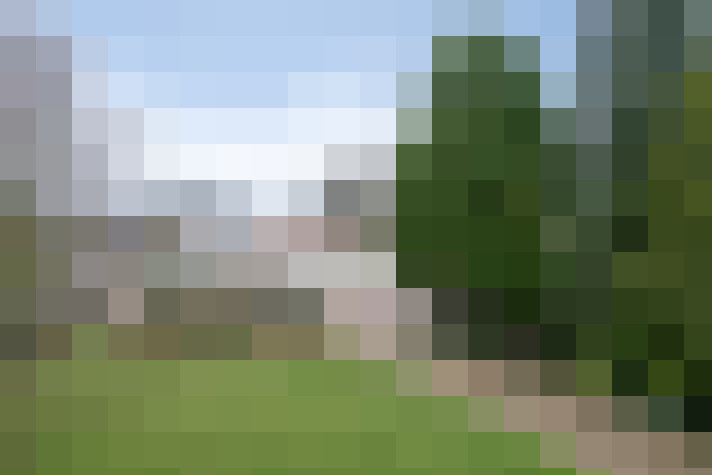 Image 39