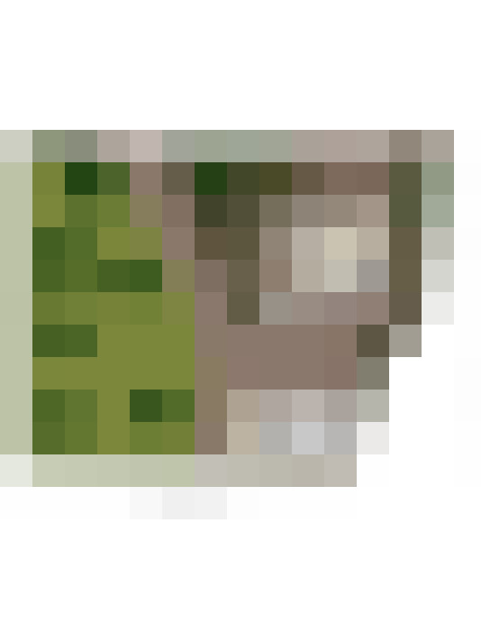 Image 50