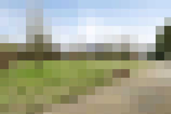 Image 42