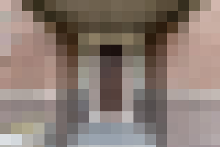 Image 34