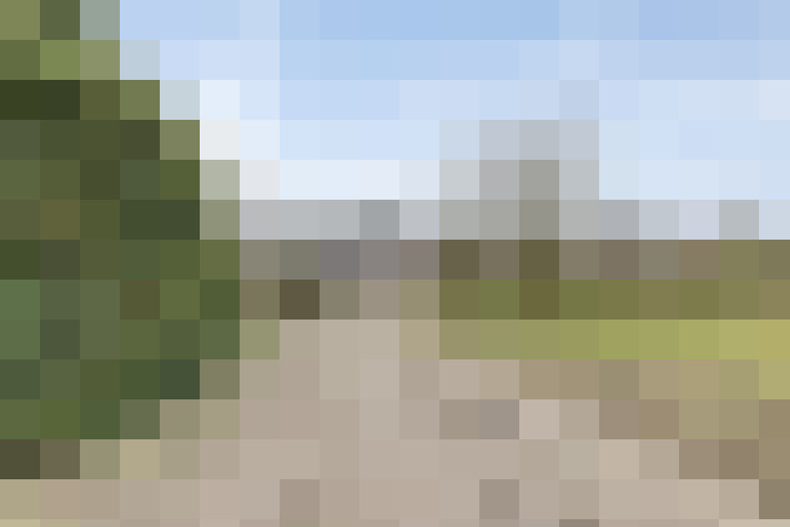 Image 40