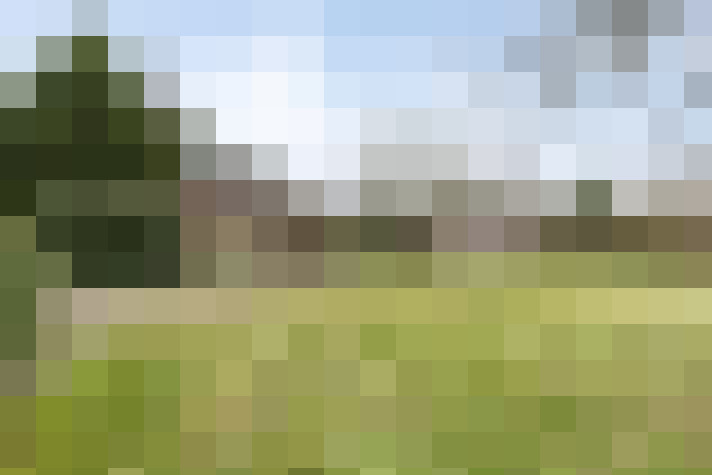 Image 39