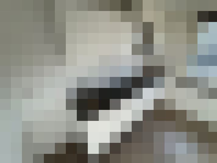  / #7