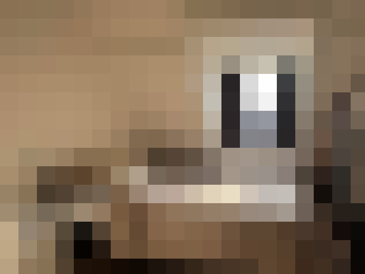  / #14