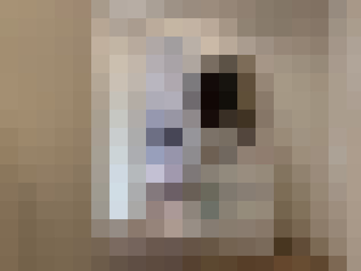  / #26