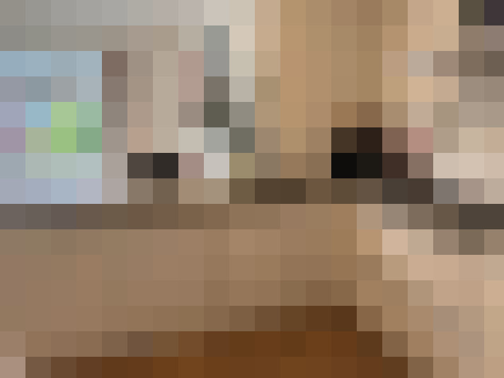  / #8